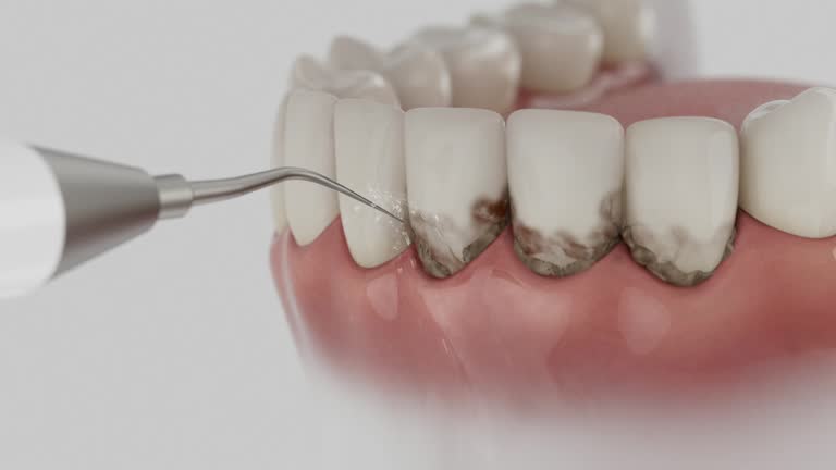 Reliable Dental contractor in Mount Union, PA by Dentist Open Now